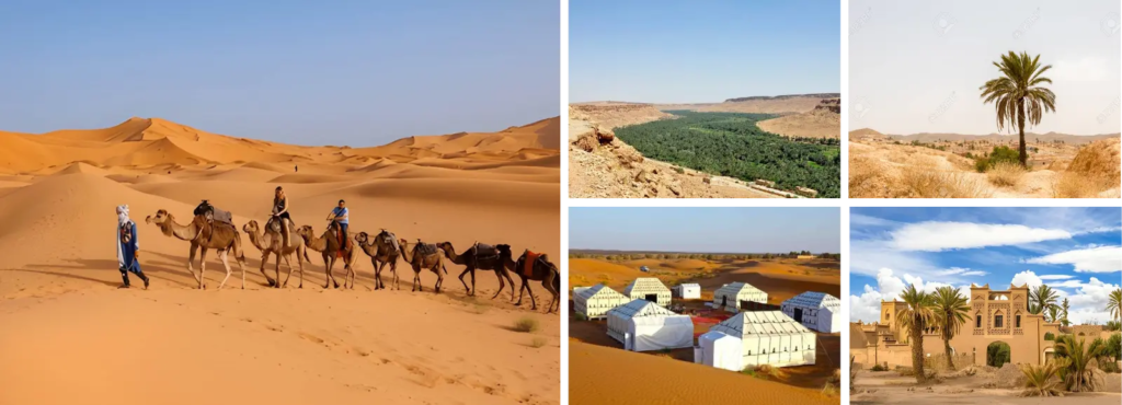 3 days tour from fes to marrakech