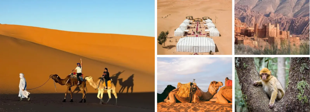 3 days tour from marrakech to fes