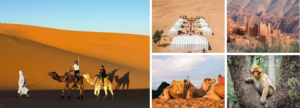 3 days tour from marrakech to fes