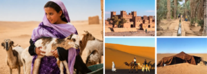 4 days tour from fes to marrakech